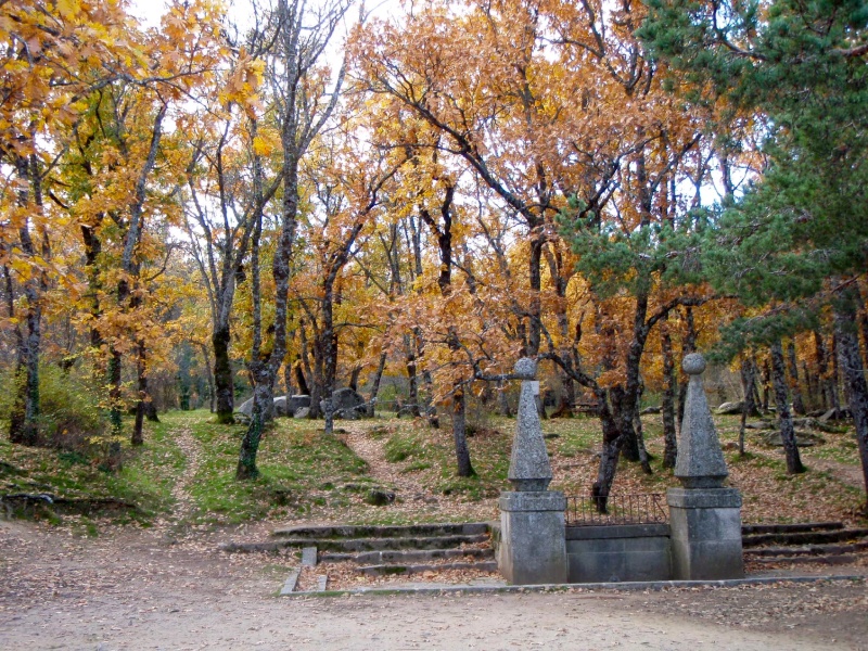 Planes románticos en San Lorenzo del Escorial 
